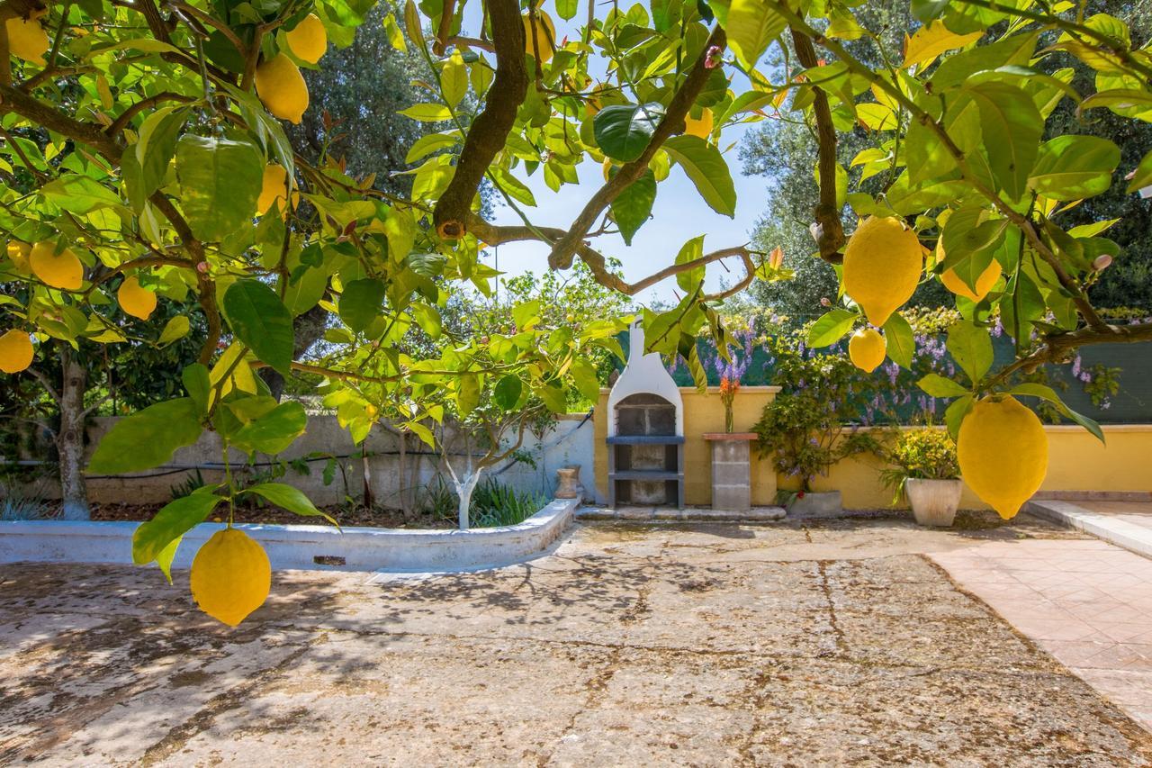Casa Mediterranea Dei Normanni San Vito dei Normanni Eksteriør billede